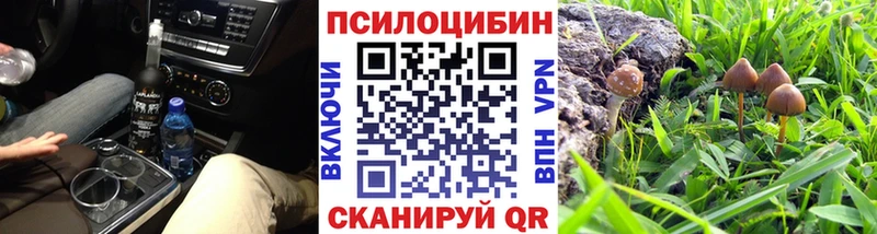 хочу   Новая Усмань  ссылка на мегу онион  Галлюциногенные грибы ЛСД 